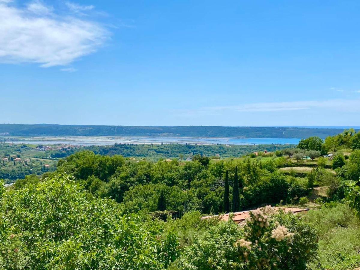 Apartma Hill Portorose المظهر الخارجي الصورة